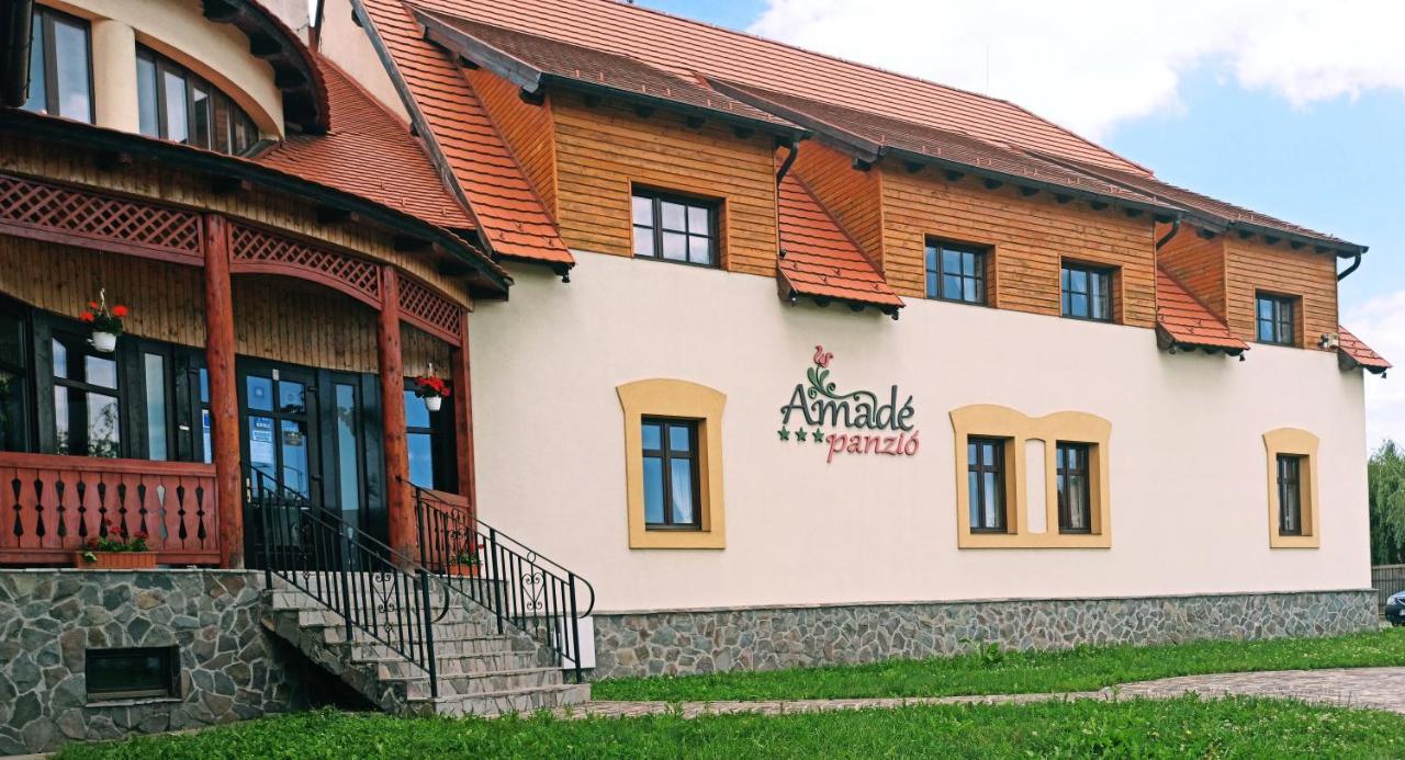 Hotel Amadé Siculeni Exteriér fotografie