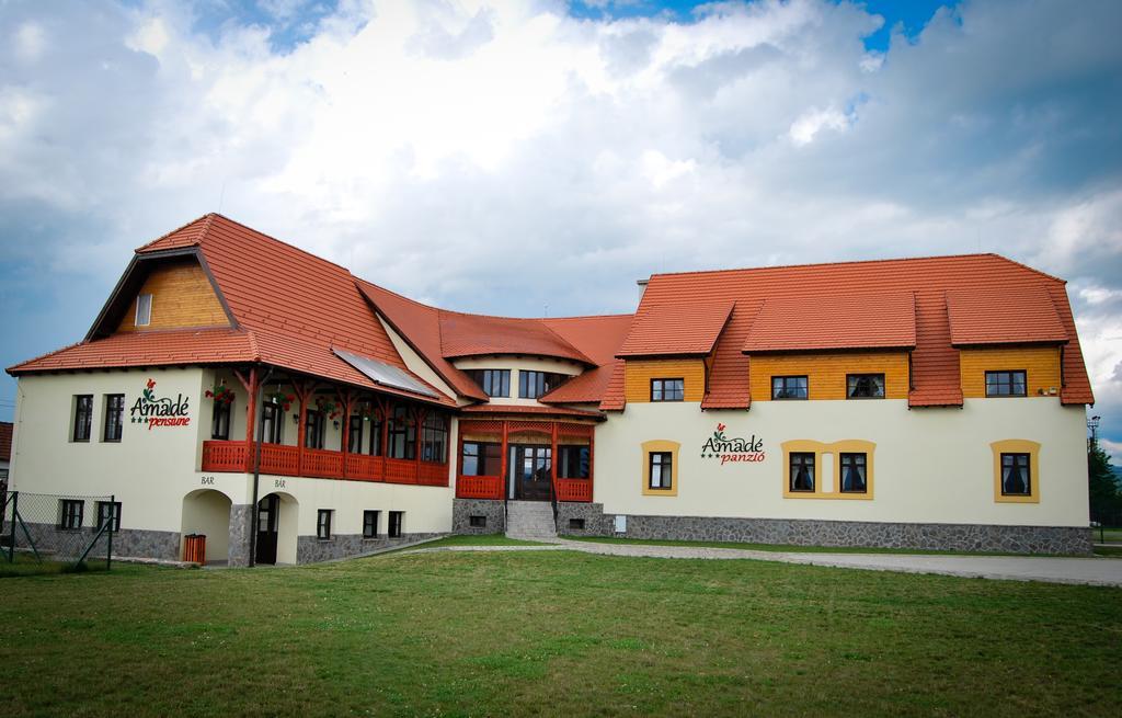 Hotel Amadé Siculeni Exteriér fotografie