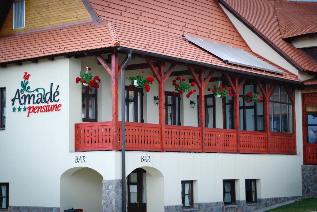 Hotel Amadé Siculeni Exteriér fotografie