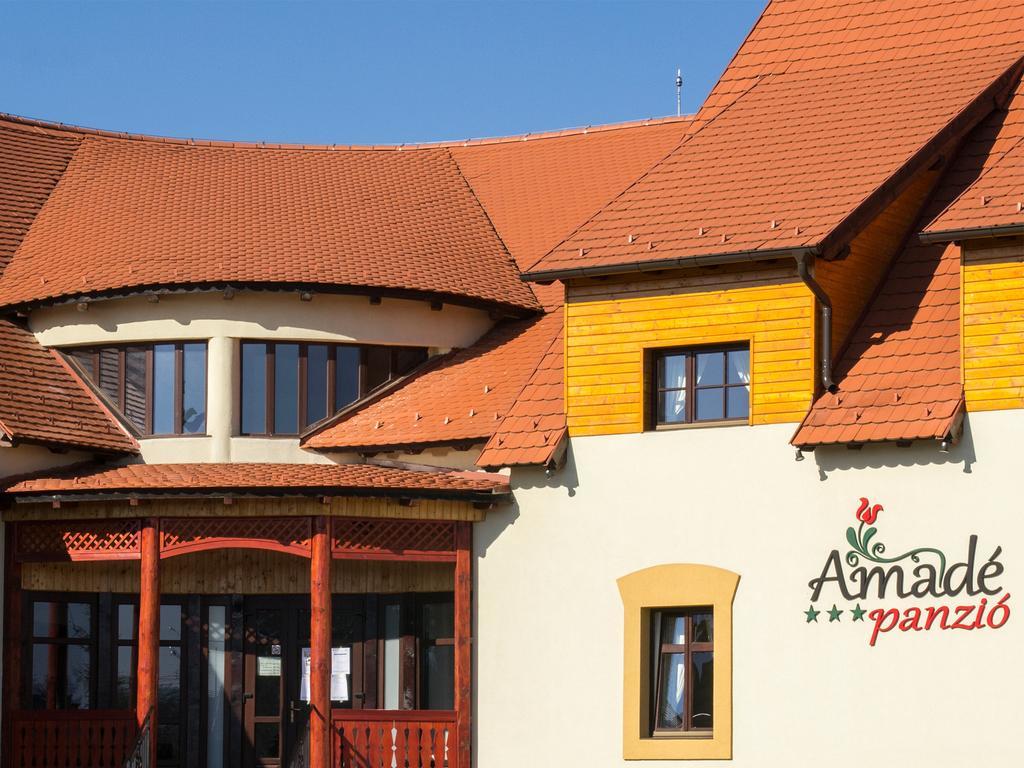 Hotel Amadé Siculeni Exteriér fotografie